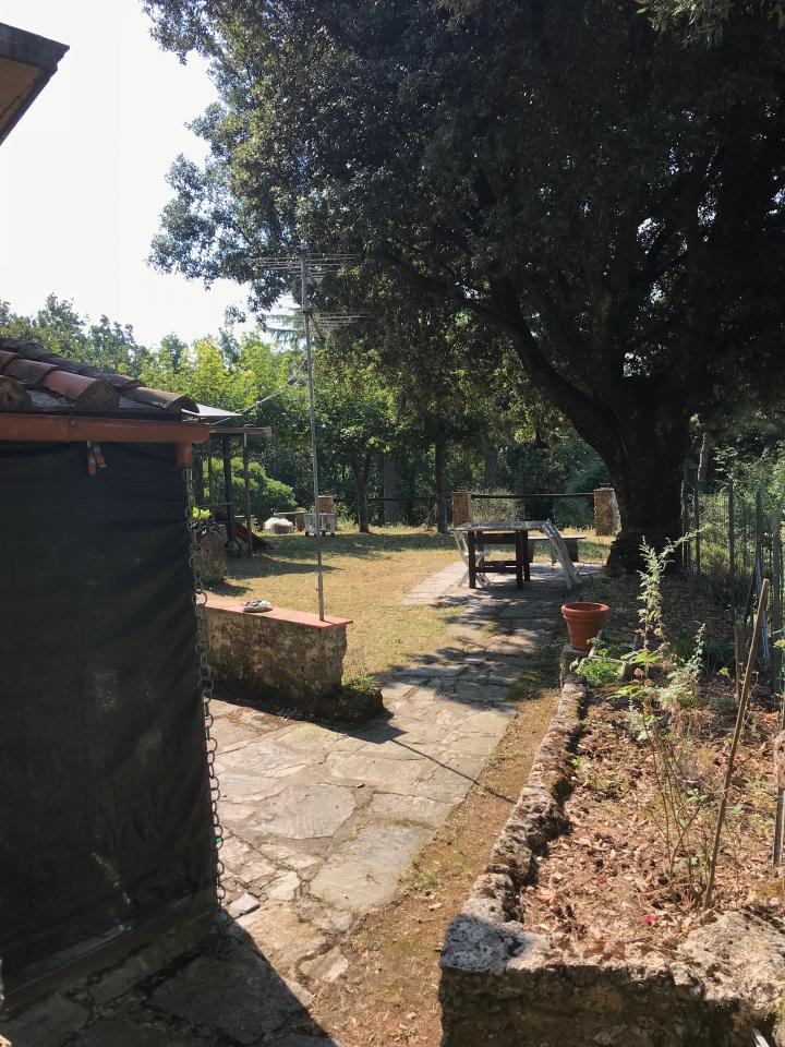 Casa Lodi, il giardino