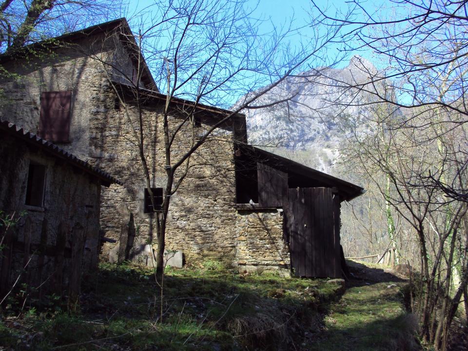 Casa nel bosco sulle Apuane