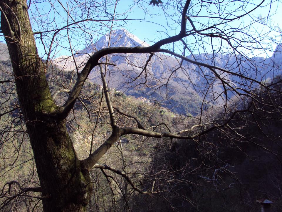 Casa nel bosco, vista della Pania