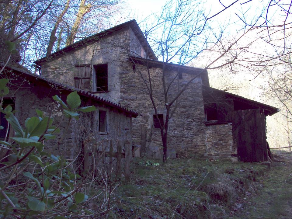 Casa nel bosco, arrivo