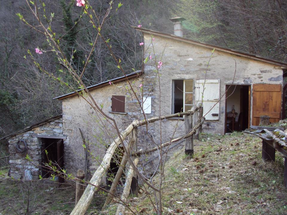 Casa nel bosco, vista dell'aia